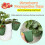 Gartenbaubecher aus lebensmittelechtem Material. Luftlöcher-L 6 4