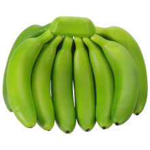 Realistic Fake Bananas Plastic Fruit Model for Educational Use