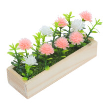 Mini Fleurs Miniatures Déco Fenêtres Maison De