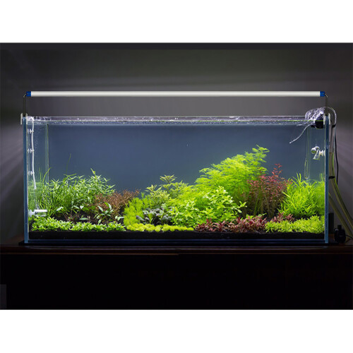 Lámpara LED para acuario de 15 W, extensible e impermeable, 220 V 1