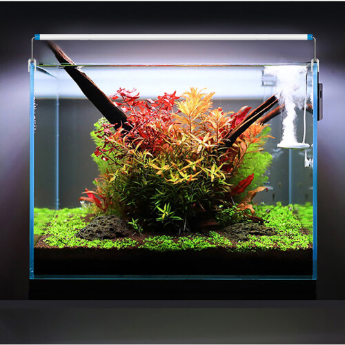 Lámpara LED para acuario de 15 W, extensible e impermeable, 220 V 2