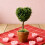 Artificial Succulents Plant Simulation Succulents Small-2 2 6