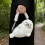 =Seal Cossbody Purse with Adjustable Strap Plush Doll-Gray 7
