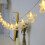 Luci a tenda a LED bianco caldo, set da 5 pezzi 8