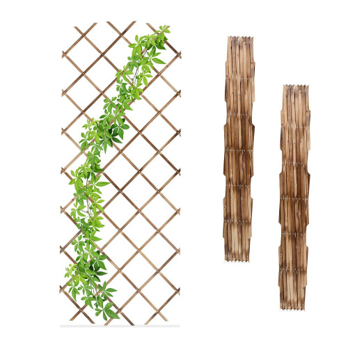 Conjunto de treliça extensível para plantas, 180 x 90 cm, pacote com 3