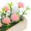 Mini Fleurs Miniatures Déco Fenêtres Maison De 5