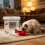 Modern Pet Water Fountain Large Capacity-separate small bowl 3