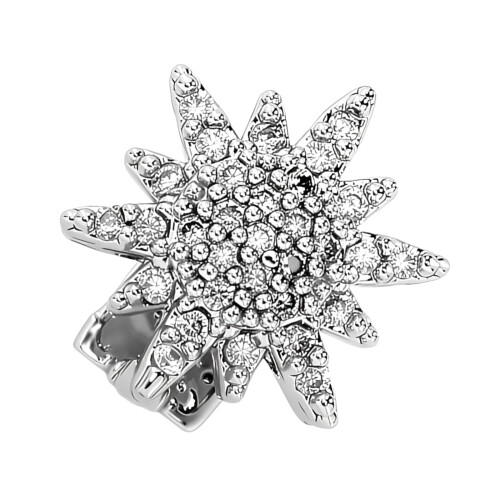Tooth Grill Adorned With Zircon Stones For Styles-Silver
