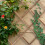 Conjunto de treliça extensível para plantas, 180 x 90 cm, pacote com 3 3