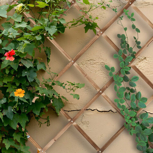 Conjunto de treliça extensível para plantas, 180 x 90 cm, pacote com 3 2