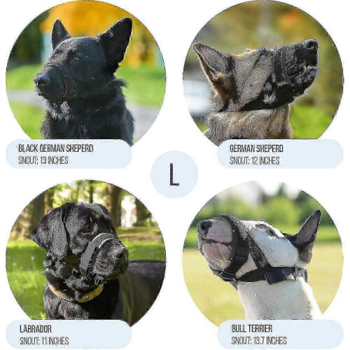 (Grey, S) Gentle Dog Muzzle Guard - Prevents Biting & Chewing, Soft Neoprene Padding, Secure Fit, No Chafing, Training Aid 2