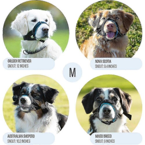 (Blue, S) Gentle Dog Muzzle Guard - Prevents Biting & Chewing, Soft Neoprene Padding, Secure Fit, No Chafing, Training Aid 2
