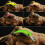 5pack Realistic Fishing Lures Floating Cranks Baits Minnows 2