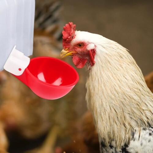 Poultry Drinkers - QINGQUE - 6 Pcs - Automatic - Durable - Easy to Install 1