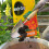 Miracle-Gro Miracle-Gro All Purpose Peat Free Compost 10L 10