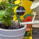 Miracle-Gro Miracle-Gro All Purpose Peat Free Compost 10L 8