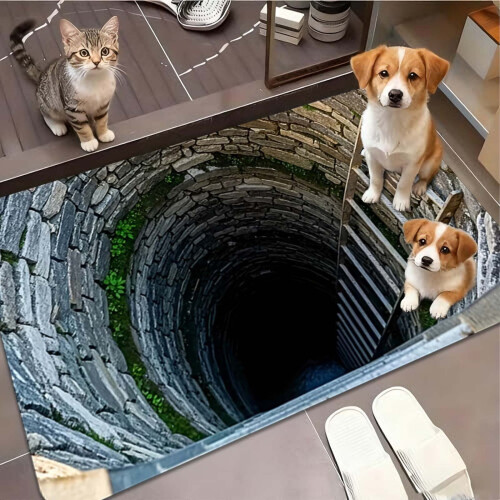 3D Visual Trap Carpet Realistic Depth Design 36x24in 1