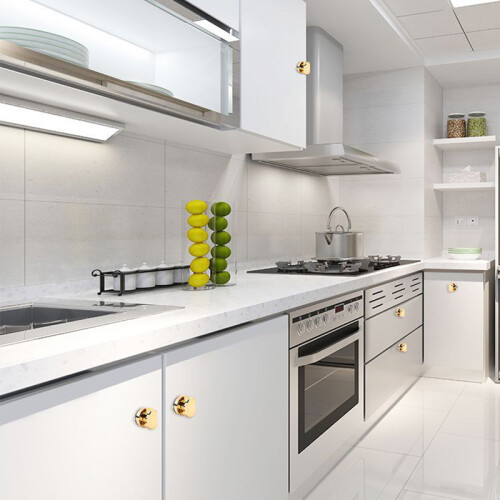 Griff mit Saugnapf Silver 1