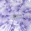 Purple Transparent 3-Fold UV Umbrella 5