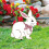 Placas de acrílico para jardim com coelhinho da Páscoa 1