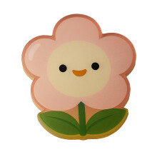 Functional Acrylic Surfaces Protectors for Indoor Decors-floret