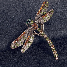 Vintage øyenstikker med rhinestone-brosje i legering