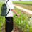 Kunststoff Rucksack Sprüher Grün Für Gartenarbeit 3