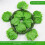 11m Long Artificial Green Ivy Leaf Vine Indoor Outdoor Use 1