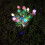 Outdoor Solar Pathway Light Gardenias Shape Landscape Light-2 5