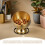 Golden Stainless Steel Decorative Candy Dish for Entryway Table 4