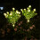 Outdoor Solar Pathway Light Gardenias Shape Landscape Light-2 7