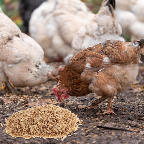 1Set Light Brown Rice Hull Chicken Coop Bedding Natural Nest Material 2