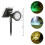 Efficient Sun Lawn Light 3 Color Choices Wall-Colorful light 4