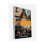 Yellowstone Season 5 Part 2: (DVD  Series 2-Disc) english version 2