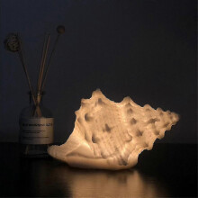 Portable Seashell Beach Theme Night Light compatible Kids Adults Bedroom Bedside Lamp Nautical Lamp_Surprise Gift