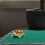 Reptile Doux Vert Pour Accessoires Animaux 9