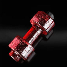 PCS 550ML Dumbbell Cup Fitness Sports Bottle Plastic Personality Cup(Red)