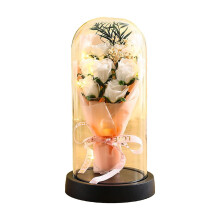 Eternal Rose in Glass Dome Light-Up Gift for Women