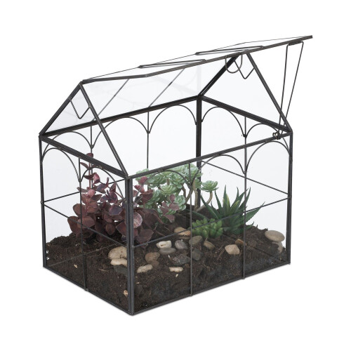Glashusformat terrarium för krukväxter