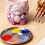 Silicone Bear Planter Mold Detailed Design Flexible Reusable For 5