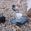 Outdoor Lightweight Folding Tableware Foldable Bowl Cup, Spec:  Bowl 4