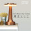 Portable LED Table Lamp, Wireless Rechargeable Touch Control Nig_Surprise Gift 2