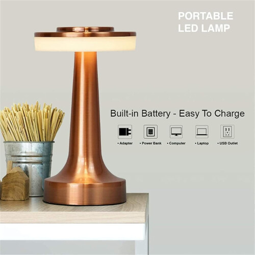 Portable LED Table Lamp, Wireless Rechargeable Touch Control Nig_Surprise Gift 1