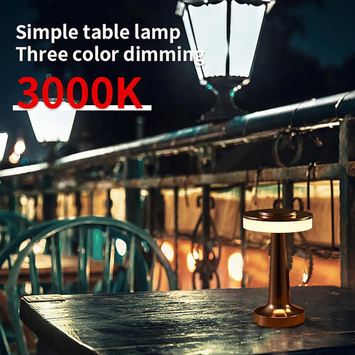 Portable LED Table Lamp, Wireless Rechargeable Touch Control Nig_Surprise Gift 2