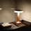 Portable LED Table Lamp, Wireless Rechargeable Touch Control Nig_Surprise Gift 5