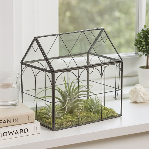Glashusformat terrarium för krukväxter 1