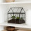 Glashusformat terrarium för krukväxter 3