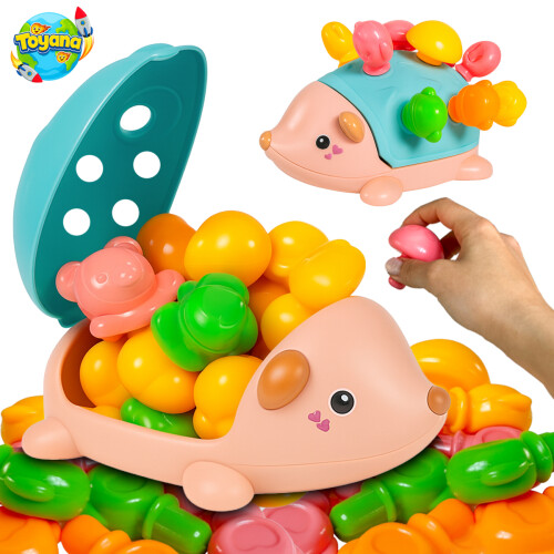 Educational Baby Hedgehog Shape Sorter Toy Set
