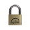 Squire Squire Lion Brass Padlock 1