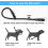 Adjustable Nylon Pet Dog Loop Slip Rope Leash Lead Training 3